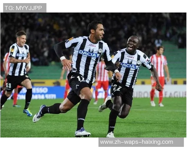 意甲乌迪内斯对阵维罗纳比赛前瞻与我的预测分析